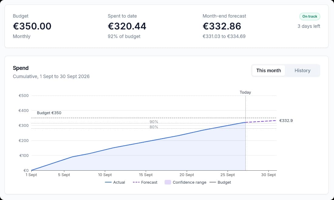 Budgets list with limits, usage bars and status